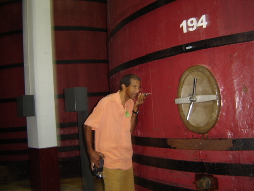 souu_santista's profile picture. Amo muito a vida