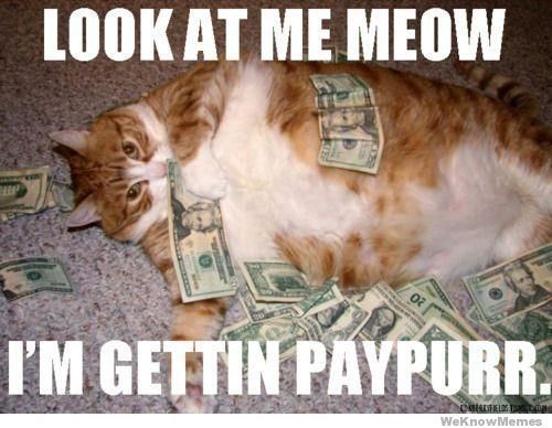Meow meow meow meow meow meow meow meow meow meow Food meow meow meow meow i just shizzed meow meow meow meow meow meow meow Food