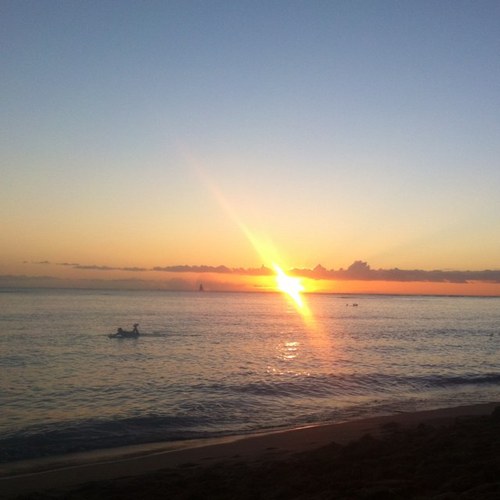 tweetnua's profile picture. 