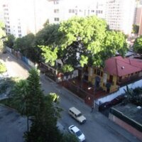 CallejonMachado (@callejonmachado) 's Twitter Profile