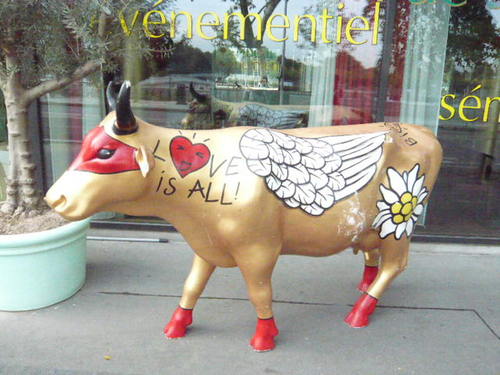 cocue_'s profile picture. 