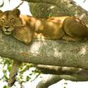 Aaron - @AaronOro - Twitter