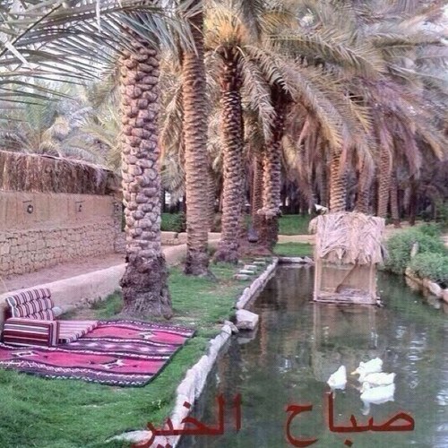 Red1417's profile picture. 