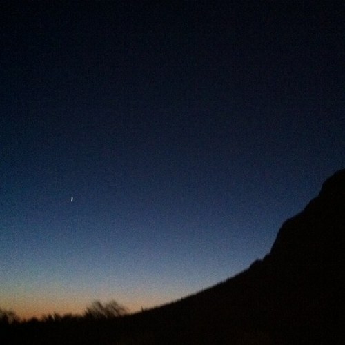 factsofthetweet's profile picture. sports, entertainment, everything cool