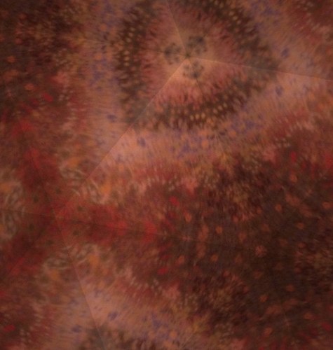 y2kateyc's profile picture. 