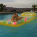 Michelle Tinnin - @creekerut - Twitter