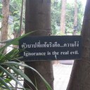 Erin Ruppe - @erinruppe - Twitter