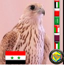 شاعر نبطي وفصيح .. ومتابعتكم شرف