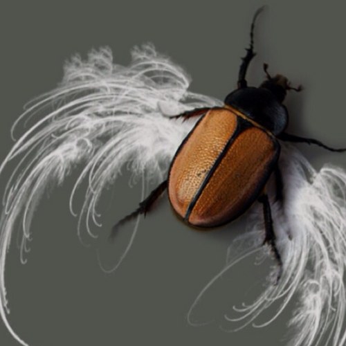 khepry3770's profile picture. 