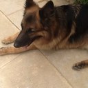 rafik nasser - @rafiknasser - Twitter