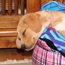 David Dalzell - @daveatmaui - Twitter