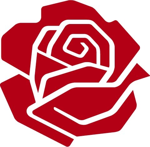 solePSDI's profile picture. coordinatore regionale psdi piemonte docente di lettere,agnostico e amante del melodramma