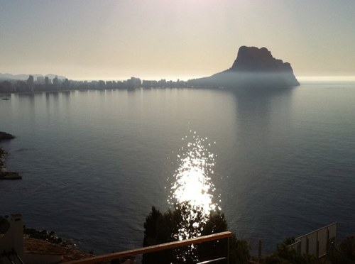 yatorio's profile picture. 