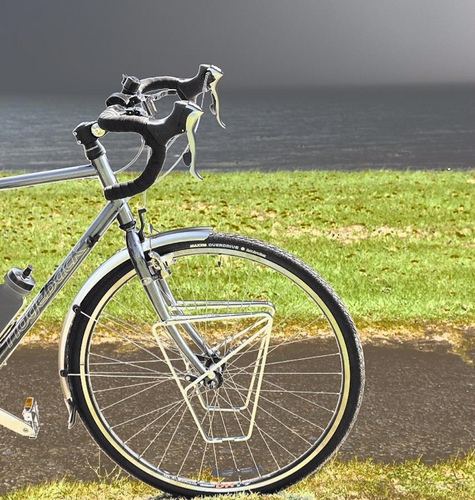 iNickyBe's profile picture. Someone stole my NickyBe, wish they would give it back. But iNickyBe is still the same old me.