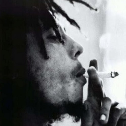 ingoolee's profile picture. 