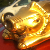 Cross_star12's profile picture. 