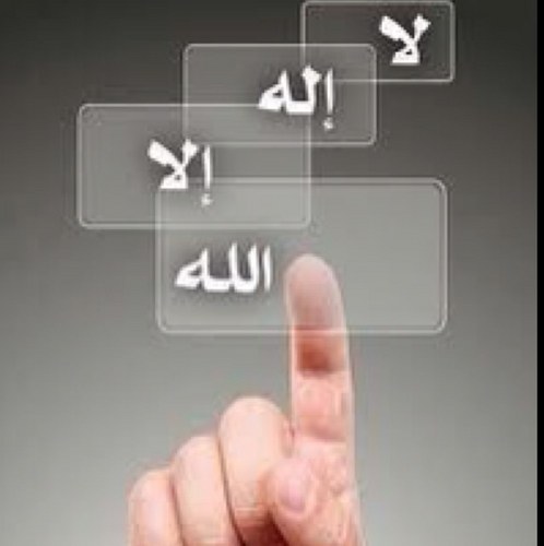 soooosiiii's profile picture. 