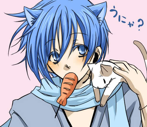 *Purs* My name is Kaito and i am a Neko. Vocaloid RP