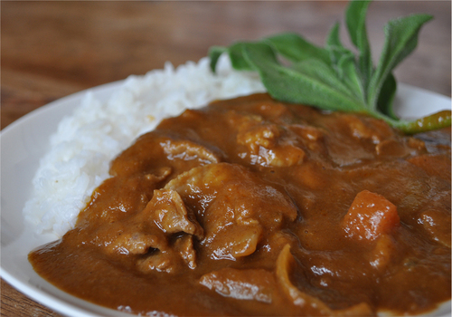 那須塩原カレーフェスタの公式アカウントです。みんなが大好きなカレーをキーワードにファンの皆さん、飲食店、地域が一体化して楽しめれば最高です♪1年に2回（1月、6月）に開催しています。カレーを食べて一緒に遊びましょう～(*^^)v