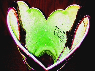 _farmygirl_'s profile picture. 19. College Chick. Pageant Queen. Mud in my blood. Horses, fourwheelers, & trucks. Dodge Girl. Ram Tough. No Farms No Food!! #IStandWithPTH.