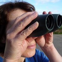 Helen King (@willowwriter) 's Twitter Profile