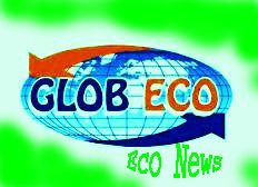 globeconews's profile picture. Nè nere, nè rosa,solo Green....News!