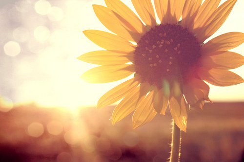 2012navi's profile picture. 