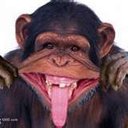 Jerry Fuentes - @JerryFuentes4 - Twitter