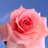 om__rayan's profile image