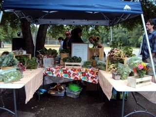 SundayBrunchMkt's profile picture. We are a farmers market in Medway Park on James Island, SC. All vendors are dedicated to providing locally sourced and/or produced foods and goods.