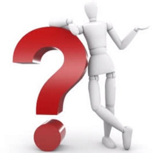 WebQuery's profile picture. 