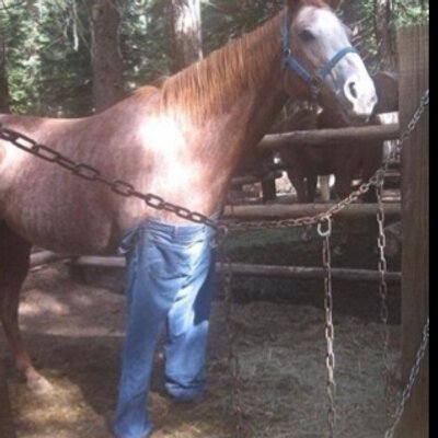 Kon V Dzhinsah Idi Naxyu Twitter