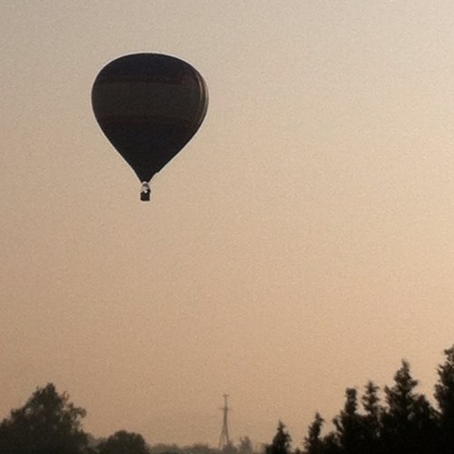 bona1299's profile picture. 