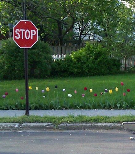 tww314's profile picture. 