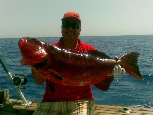 Egyptian engineer and sport fisherman