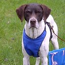 Jeffrey Epp - @EppJeffrey - Twitter