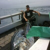 Jay Muenzner (@hardmerchjay) 's Twitter Profile