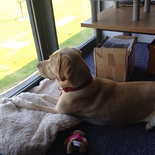 MikeMdkparker's profile picture. 