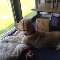 Mike (@mikemdkparker) 's Twitter Profile