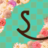 shipay3