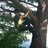 JimPartlow's profile image