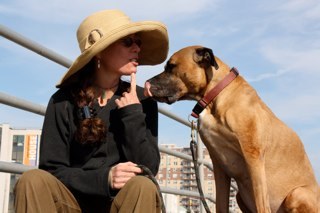 cyngibson's profile picture. Biblio-butterfly. Hopelessly addicted to politics and policy. Moth to a flame...?