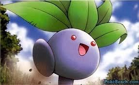 I'm just a Oddish who gets lost a lot! I'm also very sensitive, so be nice to me please. ^.~
My friends are: @ContestTrainer, @GarysNidorina, and @AHeartReader