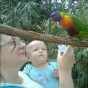 Terry Ray - @TerryLynnRay - Twitter