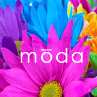 Moda is a unique upscale nail salon providing professional nail care, pedicures, manicures and waxing services.
