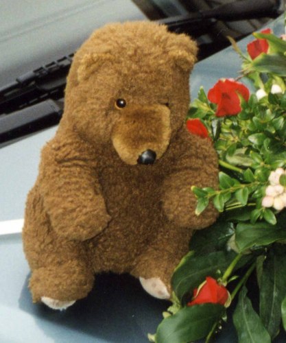 Jurist, Bärenfan, Liebhaber britischer Kultur, Papa... Legal eagle, huge fan of bears, lover of brit culture, dad...Pro Wissenschaft - gegen Nazis + Schwurbler