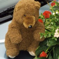 Lawbear *️⃣🇺🇦🇪🇺 (@lawbear1) 's Twitter Profile