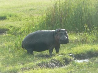 txwyn's profile picture. 