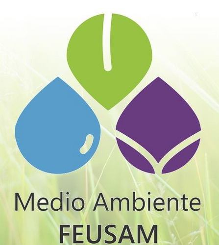 Departamento de Medio Ambiente Feusam 2012. Proyectos, Información y Cultura Verde.