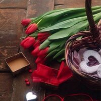 دعم المتابعين (@supportfollowe) 's Twitter Profile